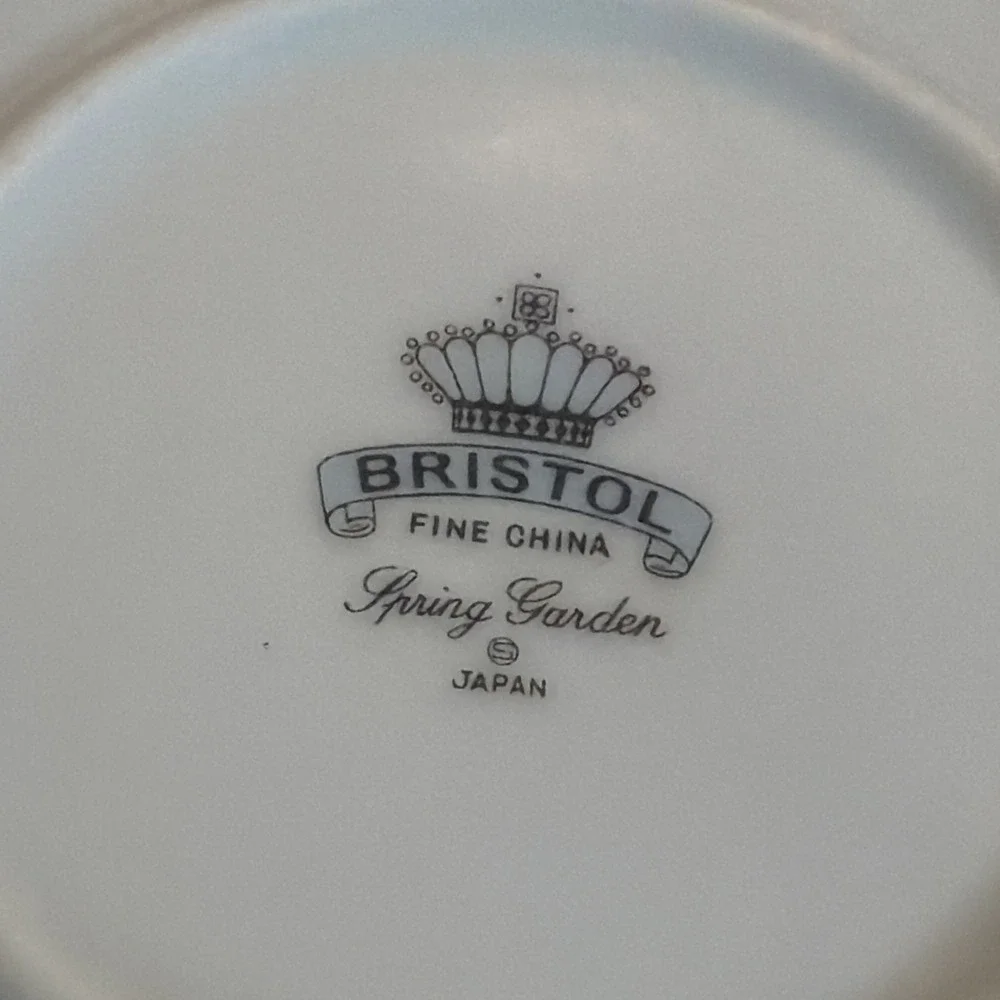 Vtg Bristol Spring Garden 12